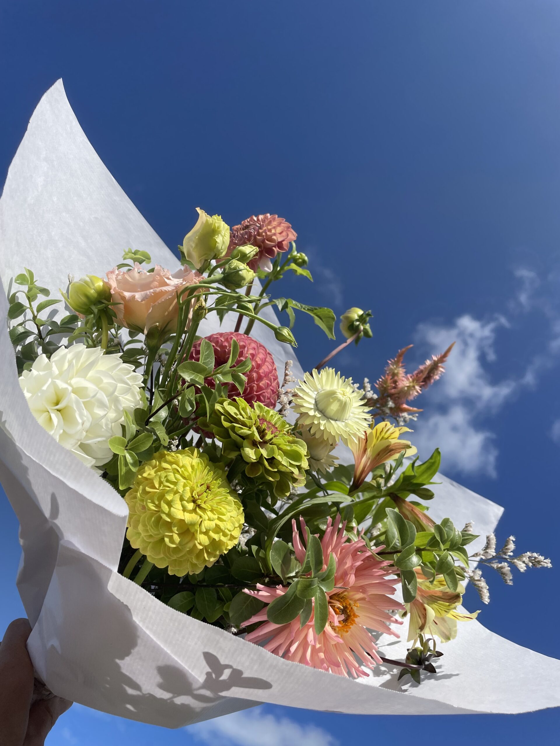 Abonnement terre & FLEURS